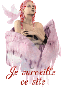 on surveille mon blog